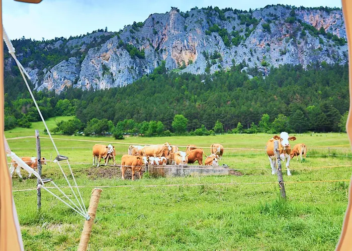 Glamping Hohe Wand - Zelt Mit Sternenfenster Und Whirlpool