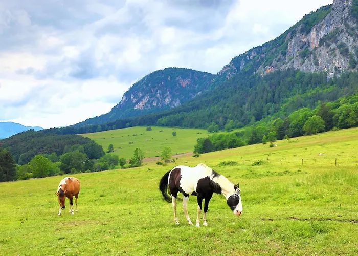 Glamping Hohe Wand - Zelt Mit Sternenfenster Und Whirlpool