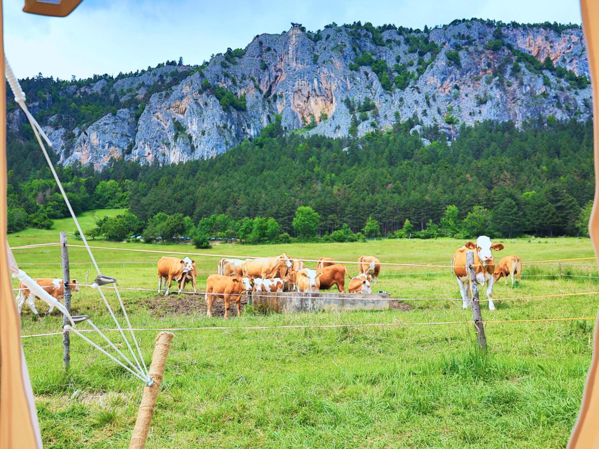 Glamping Hohe Wand - Zelt Mit Sternenfenster Und Whirlpool * Maiersdorf