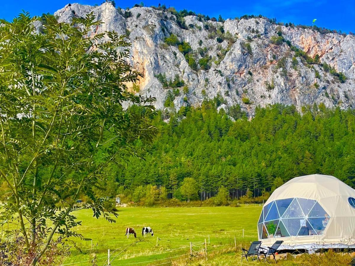 Campo de lujo Glamping Hohe Wand - Zelt Mit Sternenfenster Und Whirlpool Maiersdorf